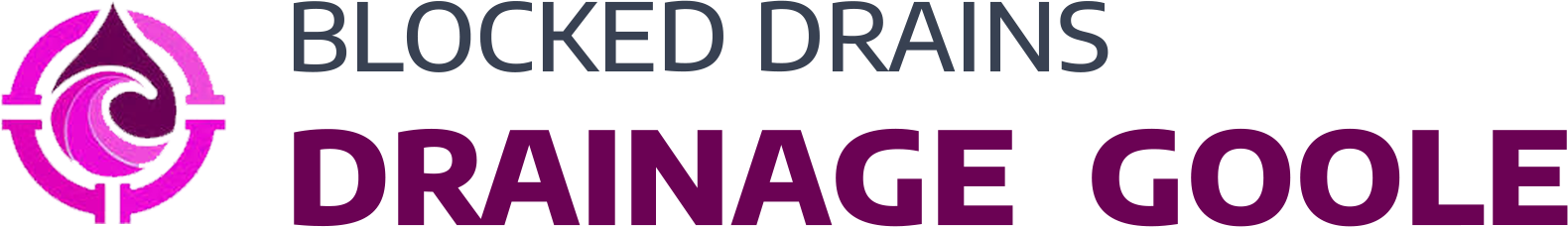 website logo